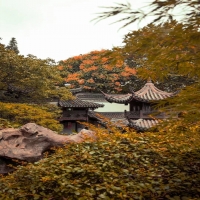 古建筑之京派风格「冠墅阳光」