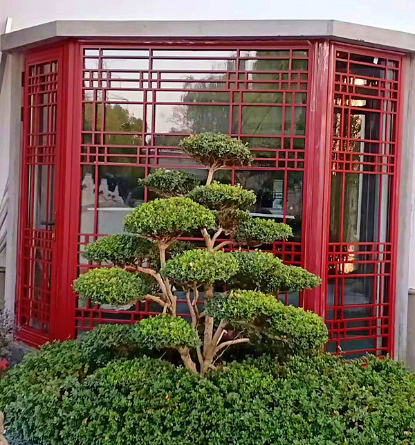 苏州斜塘老街酒店中式门窗